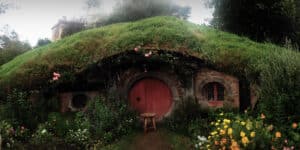 trou_de_hobbit.jpeg