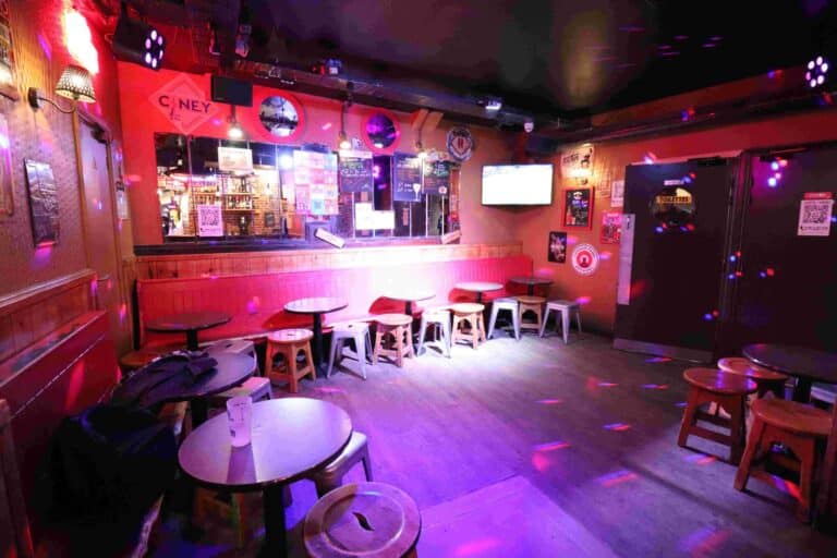 Photo 4 de l'établissement Hide Pub Châtelet